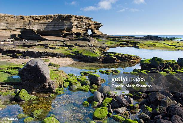 santiago island galapagos - galapagosinseln stock-fotos und bilder