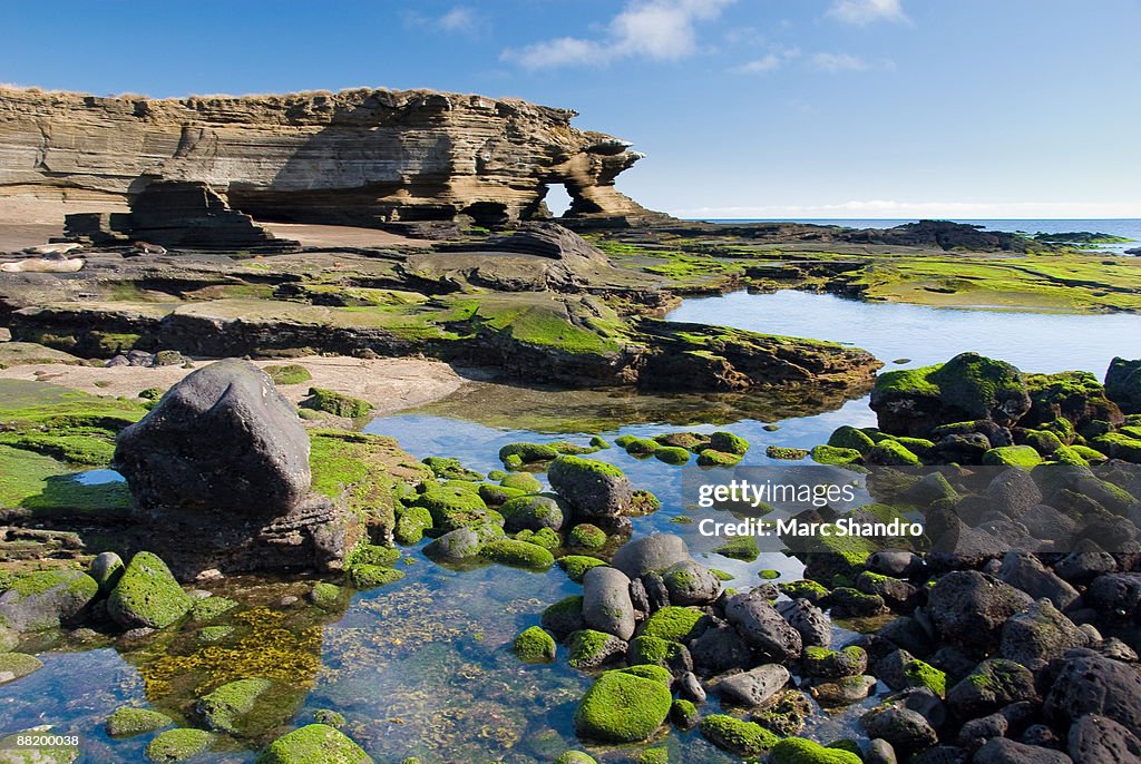 Santiago island galapagos