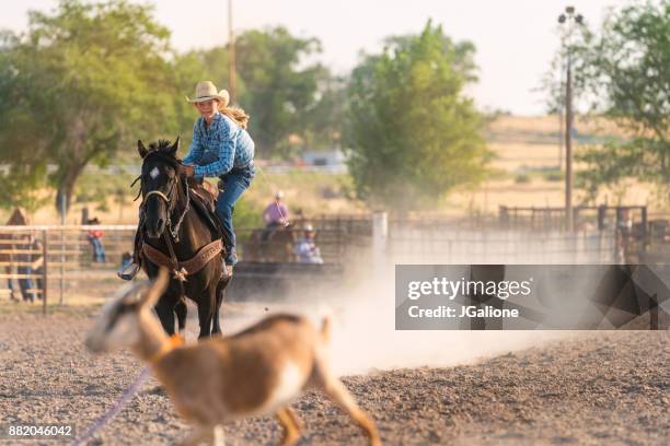 Goat Roping Rodeo 286 Dismounting Stock Photos, High-Res Pictures, and Images - Getty Images