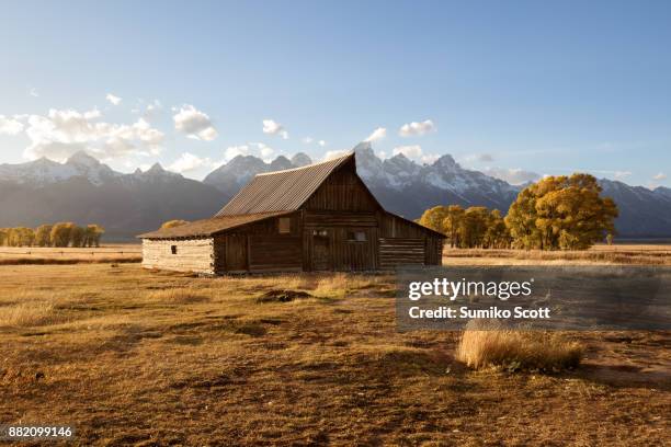 moulton barn at sunset, grand teton national park, wyoming - jackson wyoming foto e immagini stock