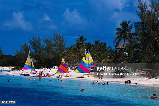 beach scene, bahamas - ann purcell stockfoto's en -beelden
