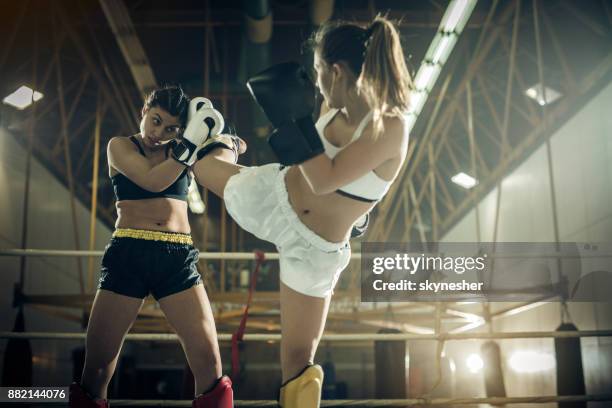 donne pugili determinate che combattono in un kickboxing match su un ring. - autodifesa foto e immagini stock