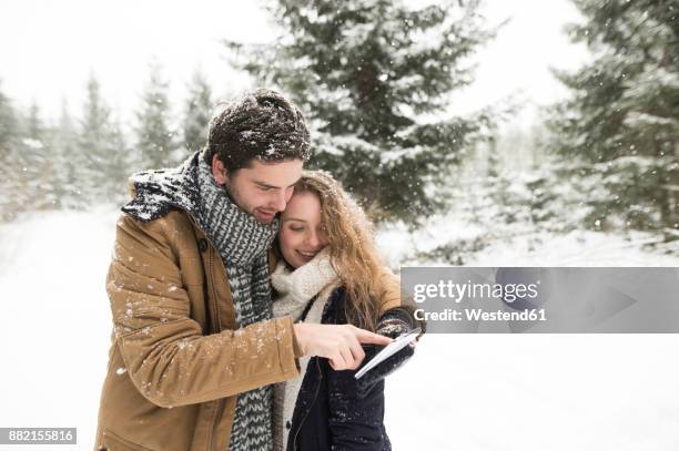 happy young couple standing in snow-covered winter forest using cell phone - happy couple using cellphone stockfoto's en -beelden