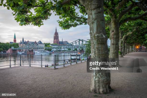 germany, frankfurt, view from schaumainkai to main river and frankfurt cathedral - hesse germany stock pictures, royalty-free photos & images