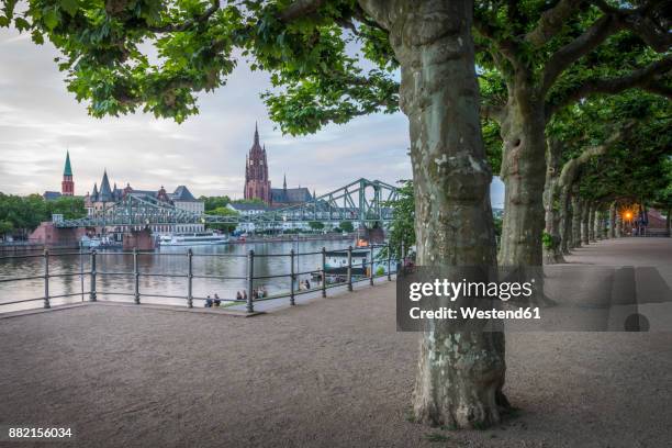 germany, frankfurt, view from schaumainkai to main river and frankfurt cathedral - hesse germany 個照片及圖片檔