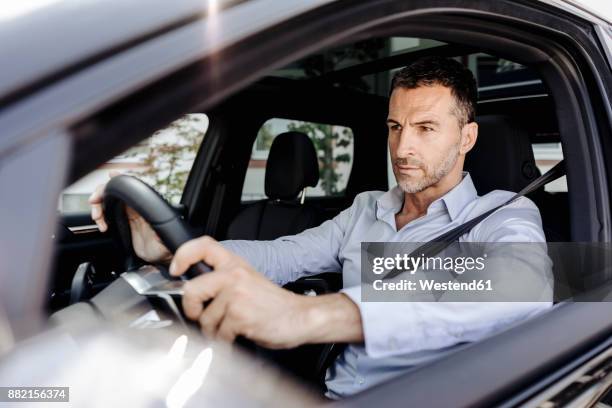 businessman driving car - business person driving stock-fotos und bilder
