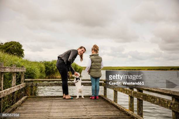 mother and daughter standing on jetty at a lake with dog - majestic dog stock pictures, royalty-free photos & images
