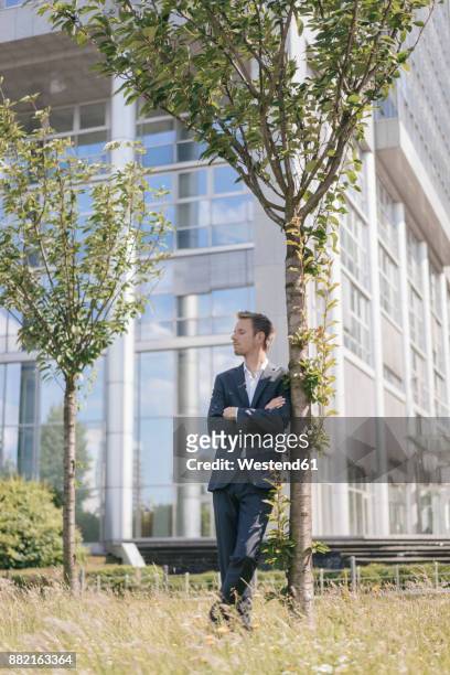 businessman leaning against a tree in front of office building - essen ruhrgebiet stock-fotos und bilder