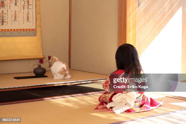 little girl sitting on tatami with rabbit - washitsu stock pictures, royalty-free photos & images