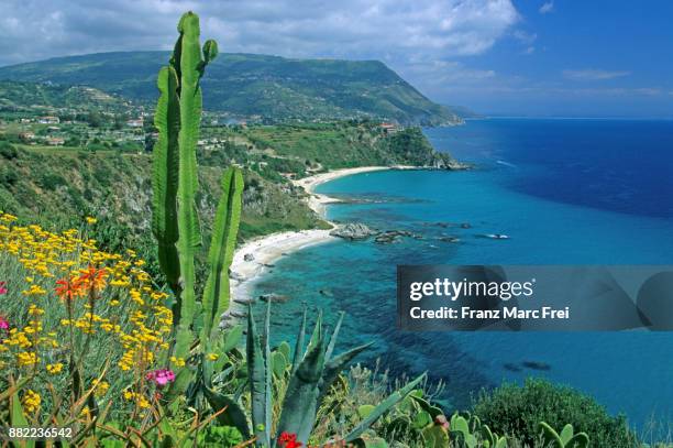 view from belvedere, capo vaticano, golfo di gioia, calabria, italy - calabria foto e immagini stock