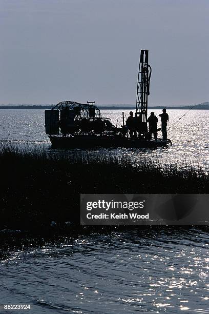 surveyors exploring bay - swamp gas stock pictures, royalty-free photos & images