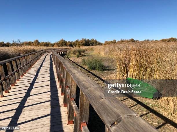 332 Parco Nazionale Tablas De Daimiel Stock Photos, HighRes Pictures
