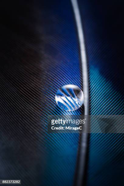 water droplet on blue feather - waterproof photos et images de collection