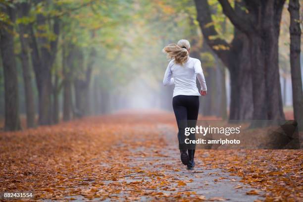 frauen im sport - rückansicht singel weibliche jogger im herbst - prater wien stock-fotos und bilder