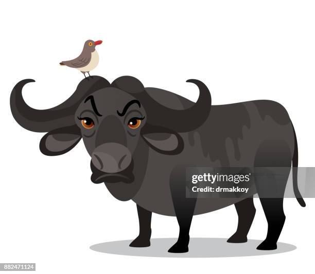 african buffalo - oxpecker stock illustrations