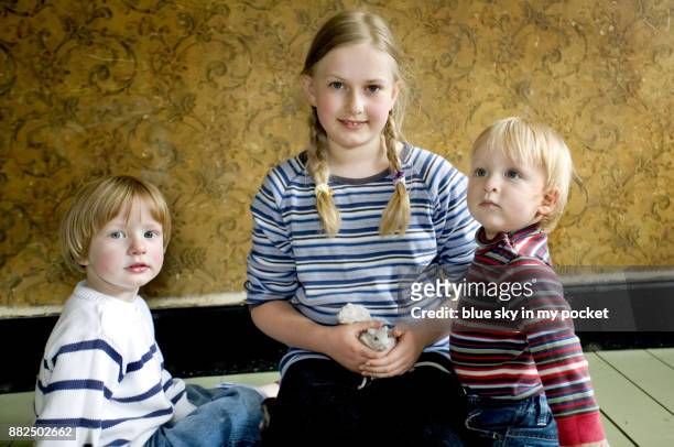 an 11 year old girl and her two brothers, 3 years and 16 months old. with their pet gerbils. - gerbo fotografías e imágenes de stock