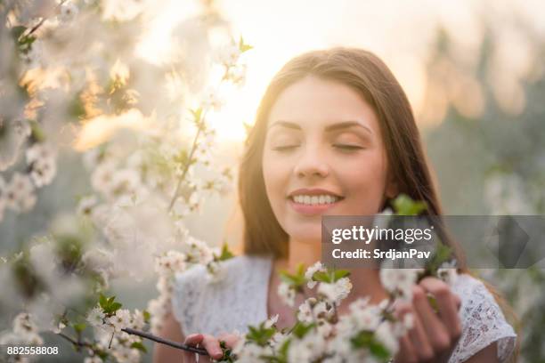 Spring At Last High-Res Stock Photo - Getty Images