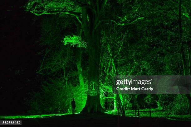 Man looks at a illuminated face on a tree at the launch of Enchanted Christmas attraction at Westonbirt Arboretum near Tetbury on November 29, 2017...