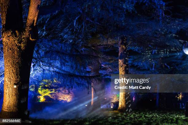 Visitors look at the illuminations at the launch of Enchanted Christmas attraction at Westonbirt Arboretum near Tetbury on November 29, 2017 in...