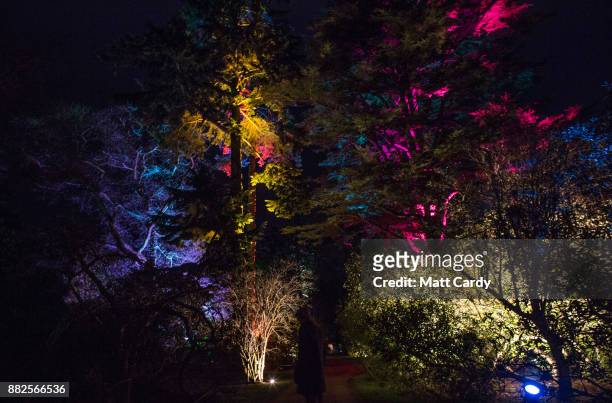 Visitors look at the illuminations at the launch of Enchanted Christmas attraction at Westonbirt Arboretum near Tetbury on November 29, 2017 in...