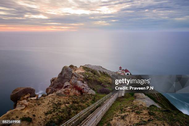Point Reyes Stags 463 Point Reyes Station Ca Stock Photos, High-Res Pictures, and Images ...