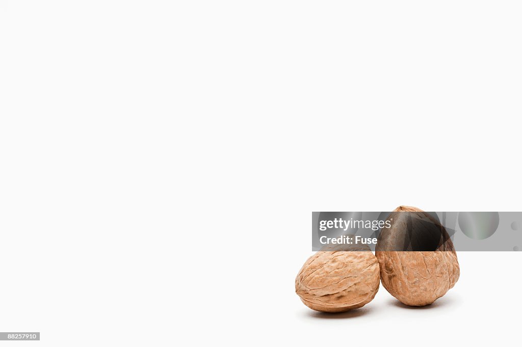 Two Walnuts