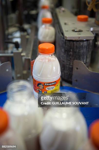 This photograph taken on November 28 shows Cléopâtre glue on the production line at the company's manufacturing plant at Ballan-Mire in central...
