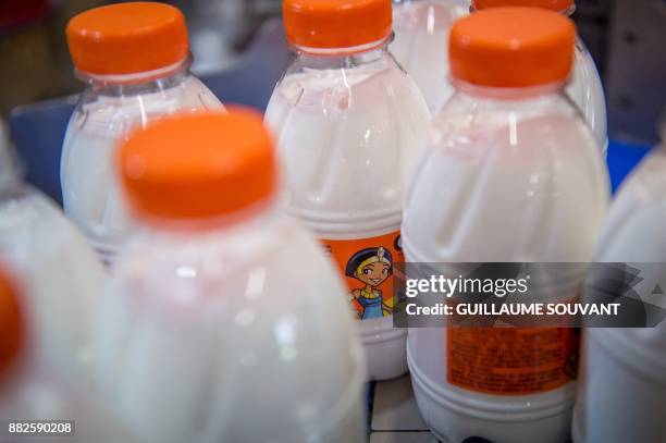 This photograph taken on November 28 shows Cléopâtre glue on the production line at the company's manufacturing plant at Ballan-Mire in central...