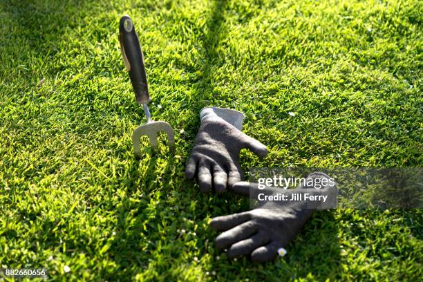 gardening tools - forca da giardino foto e immagini stock