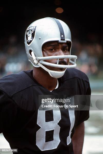 Wide Receiver Warren Wells of the Oakland Raiders looks on against