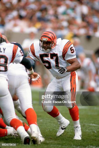 Reggie Williams Jr Football Photos and Premium High Res Pictures