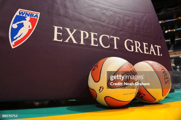 View of the basketball stanchion before a game between the Detroit Shock and the Los Angeles Sparks on June 6, 2009 at Staples Center in Los Angeles,...