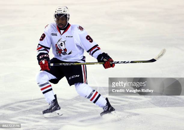 Elijah Roberts of the Niagara IceDogs skates during an OHL game against the Ottawa 67's at the Meridian Centre on November 24, 2017 in St Catharines,...