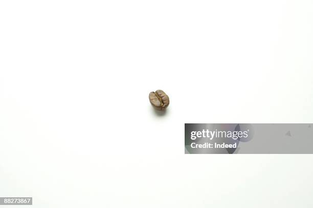one coffee bean - grain-de-café-vert photos et images de collection