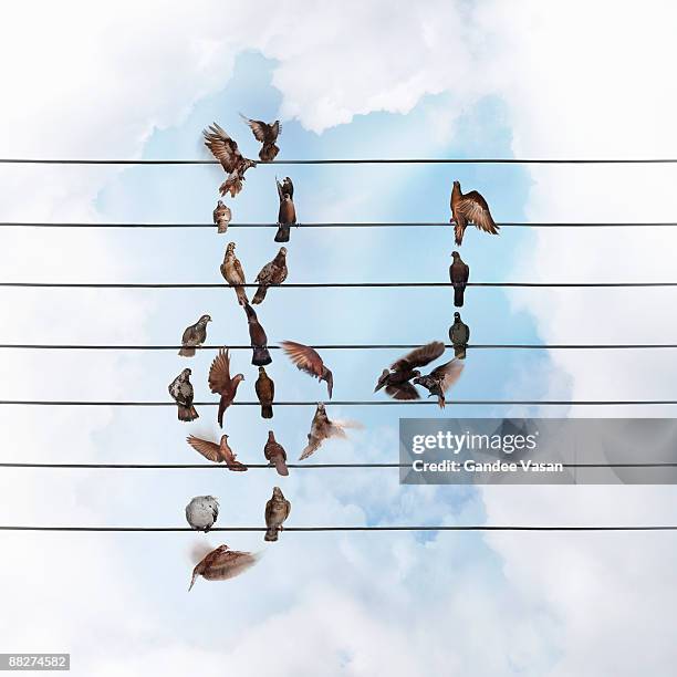 birds forming treble clef and quaver  - gandee stock pictures, royalty-free photos & images