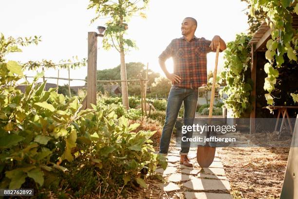 wir freuen uns auf einen tag voller gesunde pflanzen - schaufel stock-fotos und bilder