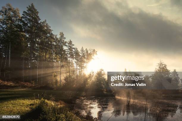 landskap ik sverige - buiten de steden gelegen gebied stockfoto's en -beelden