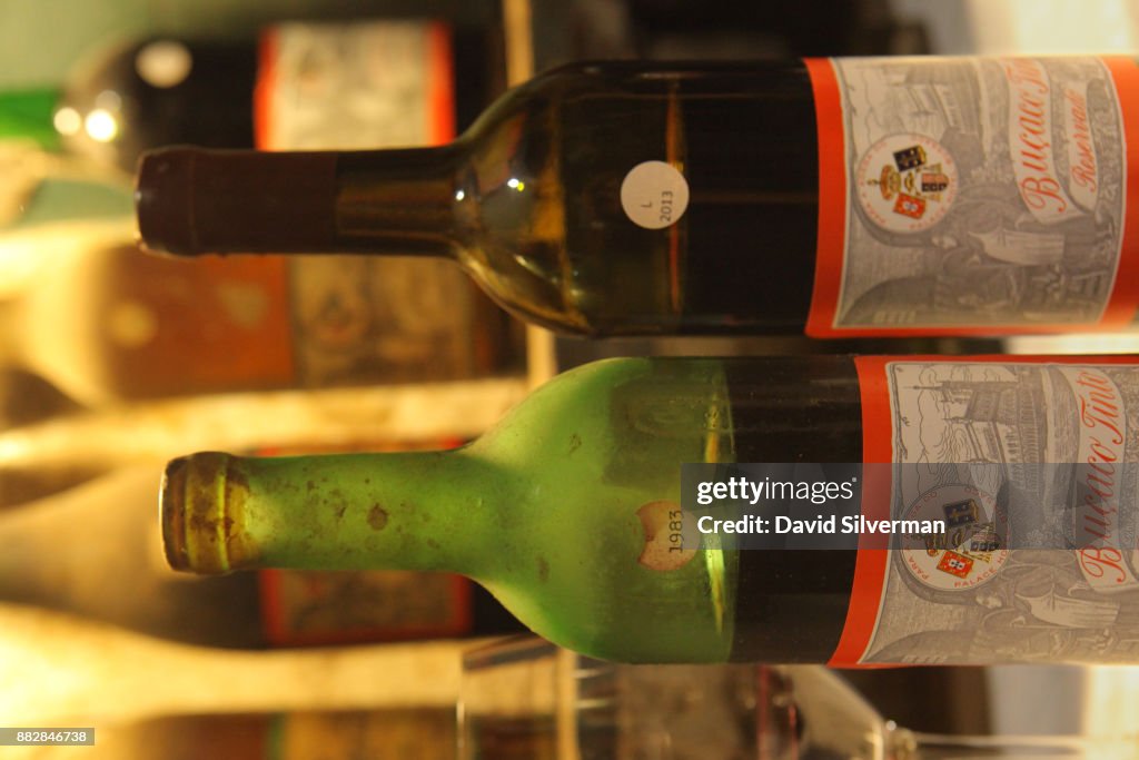 Bussaco - Palace, Hotel, Winery