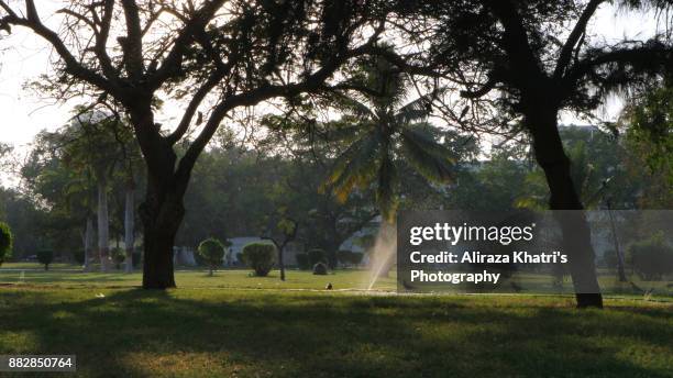 natures window - natures window stock pictures, royalty-free photos & images
