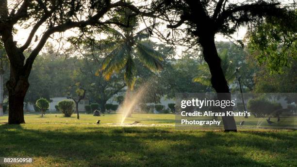 natures window - natures window stock pictures, royalty-free photos & images