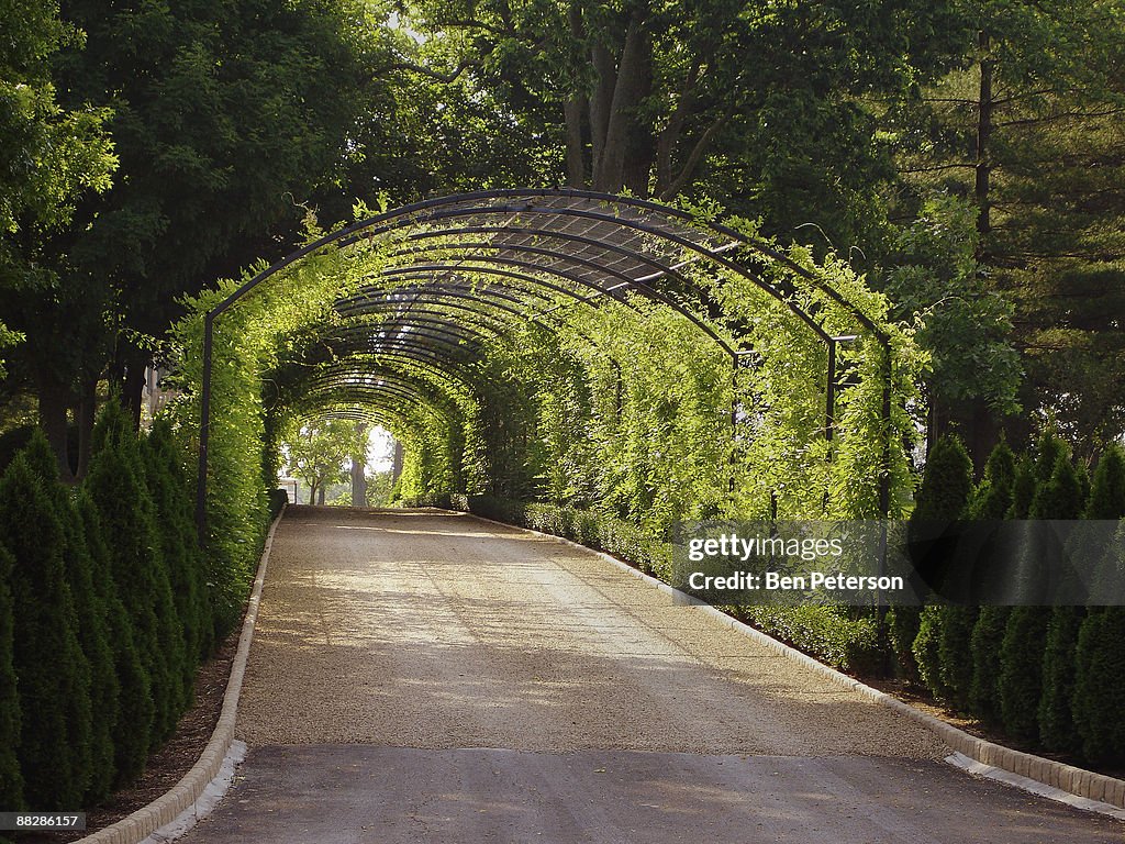 Buy Path Way Pathway High-Res Stock Photo - Getty Images