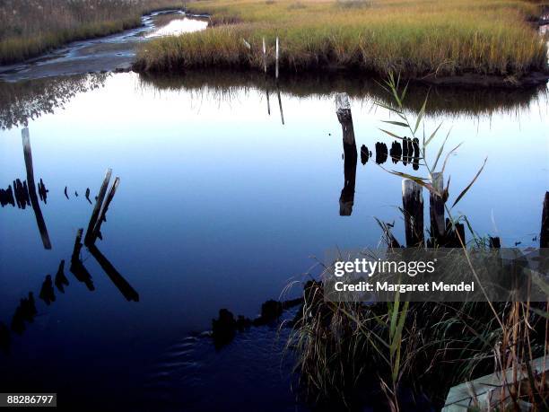 Marsh Rotten 44 Margaret Marsh Stock Photos, High-Res Pictures, and Images - Getty ...