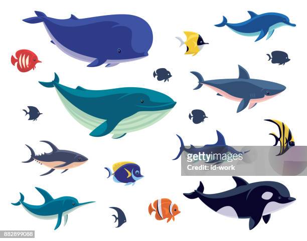 group of sea creatures - sea life stock illustrations