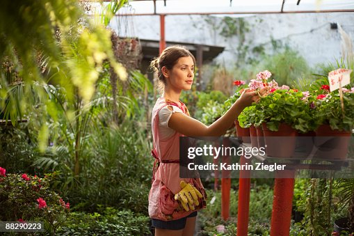 Young woman examining flowers in green house Young woman examining flowers in green house