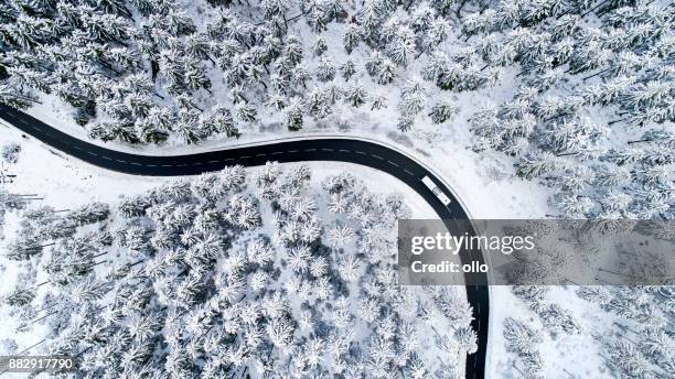 straße durch den winterlichen wald - snow road stock-fotos und bilder