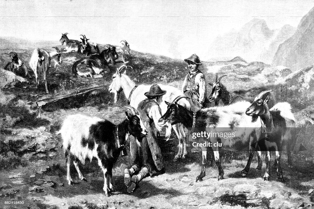 Twee herders van de bok op de Bergalp