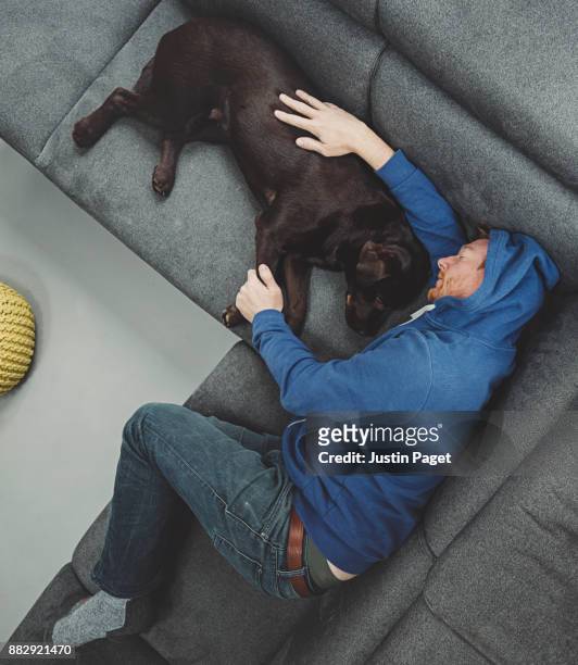 man asleep on sofa with dog - hood clothing stock pictures, royalty-free photos & images