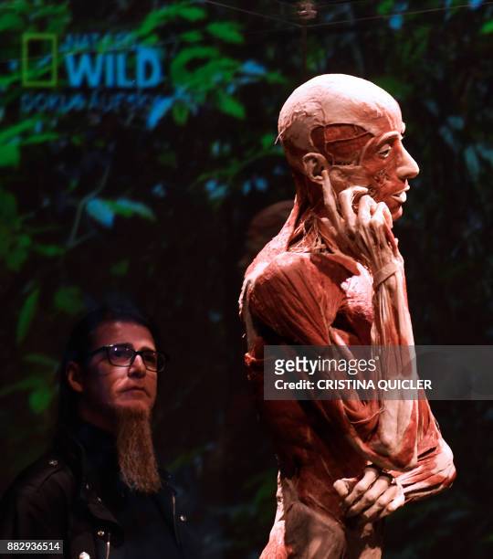 Man looks at a full plastinated body of a person on display at the 'Casino de la Exposicion' cultural center in Seville on November 30 on the eve of...