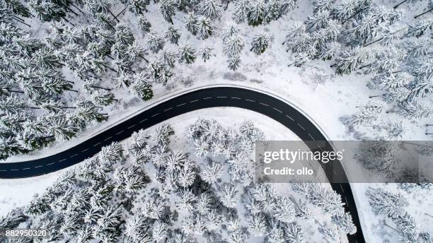 straße durch den winterlichen wald - taunusgebirge stock-fotos und bilder
