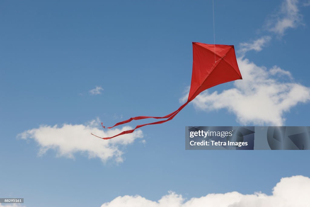 Red kite in sky